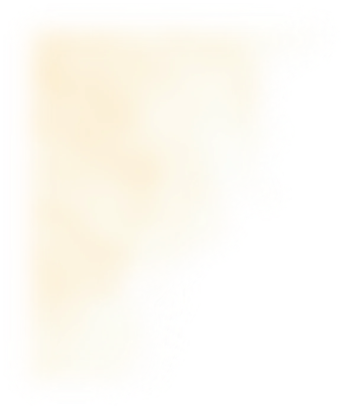 背景の紙